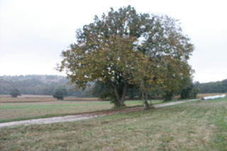 Terrain 3900m  proximit de Boulogne Sur Gesse